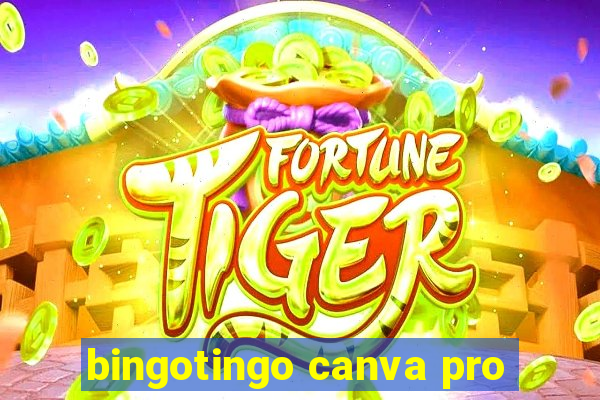 bingotingo canva pro