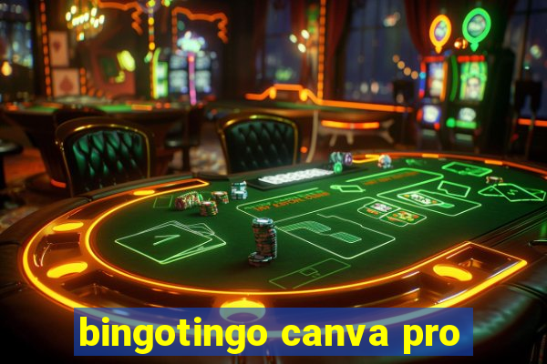 bingotingo canva pro