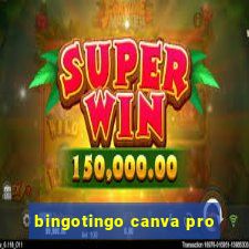 bingotingo canva pro